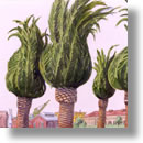 mare island palms