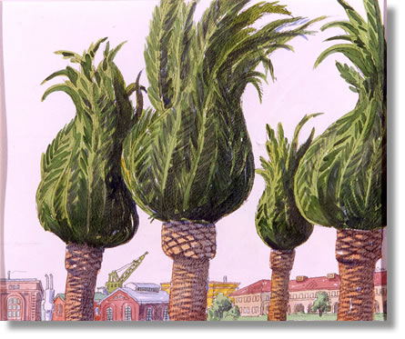 Mare Island Palms